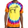 Window Tie Dye Tee Thumbnail