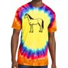 Window Tie Dye Tee Thumbnail