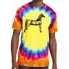 Window Tie Dye Tee Thumbnail